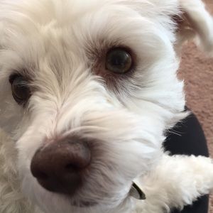 Meet your Posher, Vickie